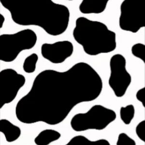 Meet your Posher, Donnaye